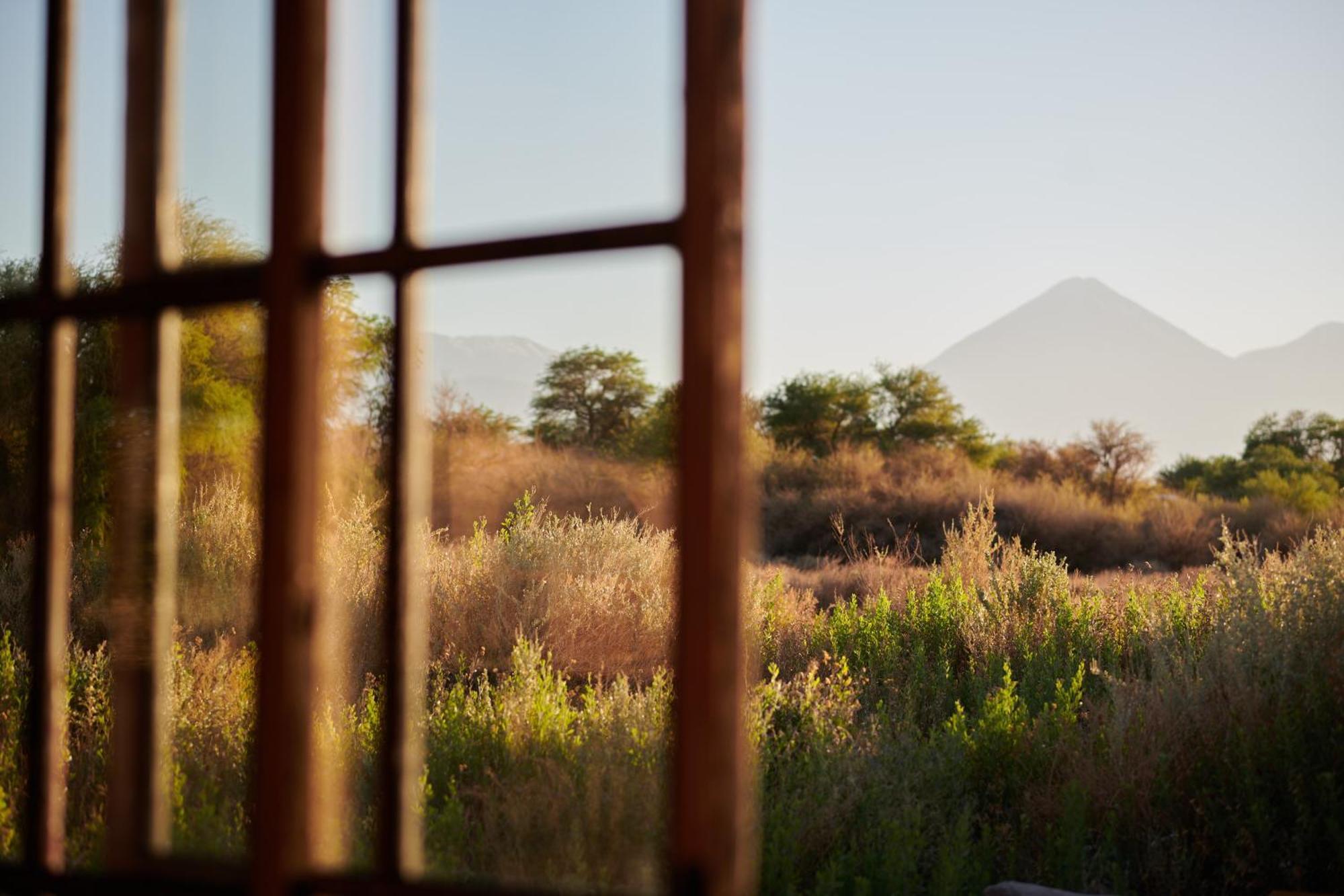 Casa Chincol Guest House ซานเปโดร เด อาตากามา ภายนอก รูปภาพ